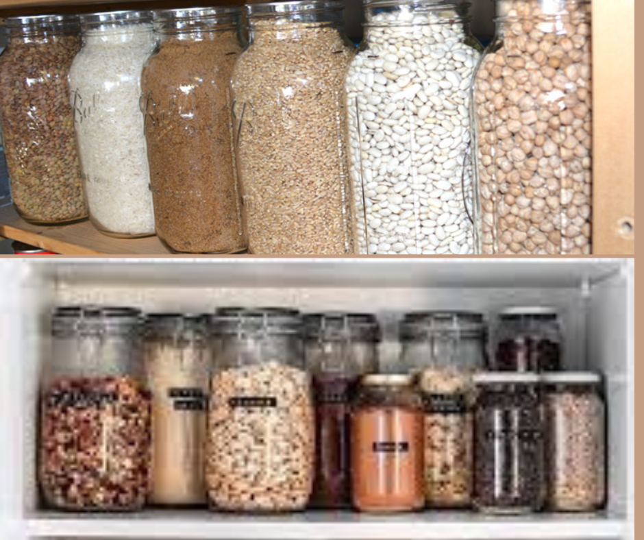 20 Best Forgotten Survival Foods